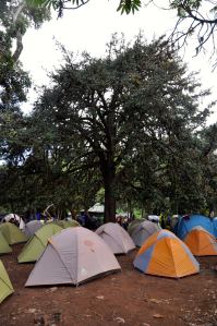 906388_10151310510147693_1018305297_o